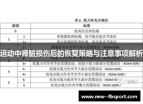 运动中肾脏损伤后的恢复策略与注意事项解析